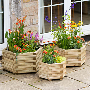 Planters and Raised Beds and Grow Your Own