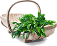 Your Garden Bargains Shopping Basket